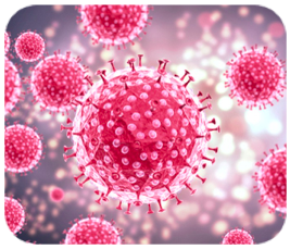 <span style="font-weight: bold;">       VIRUS DE                 PAPILOMA </span>